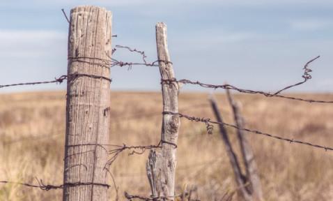 Dehydrated Skin: The Skin’s Natural Barrier