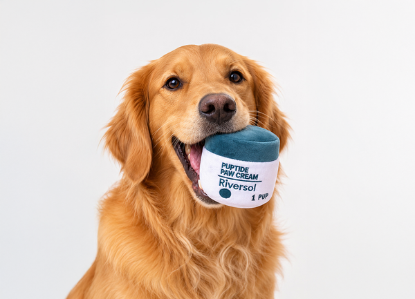 The New Paw Cream