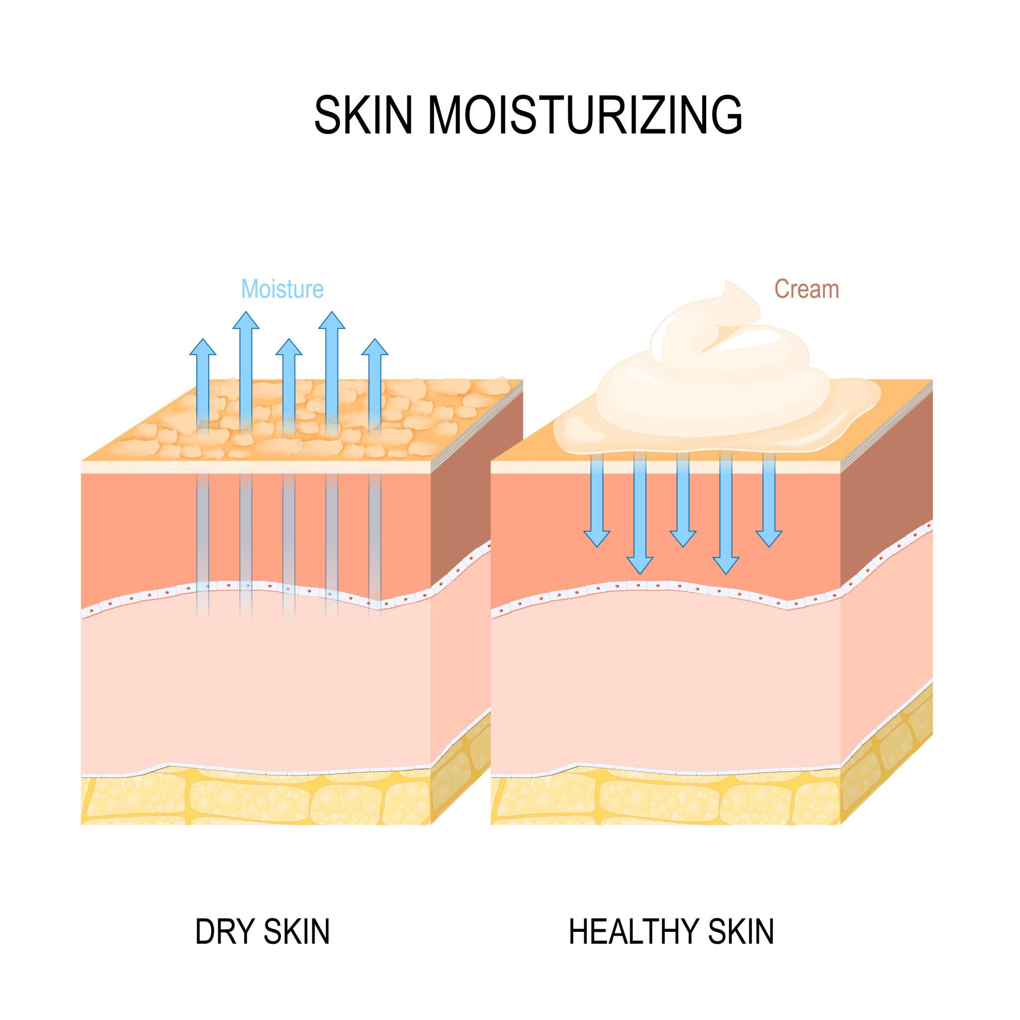 Visible firmness improvements over time